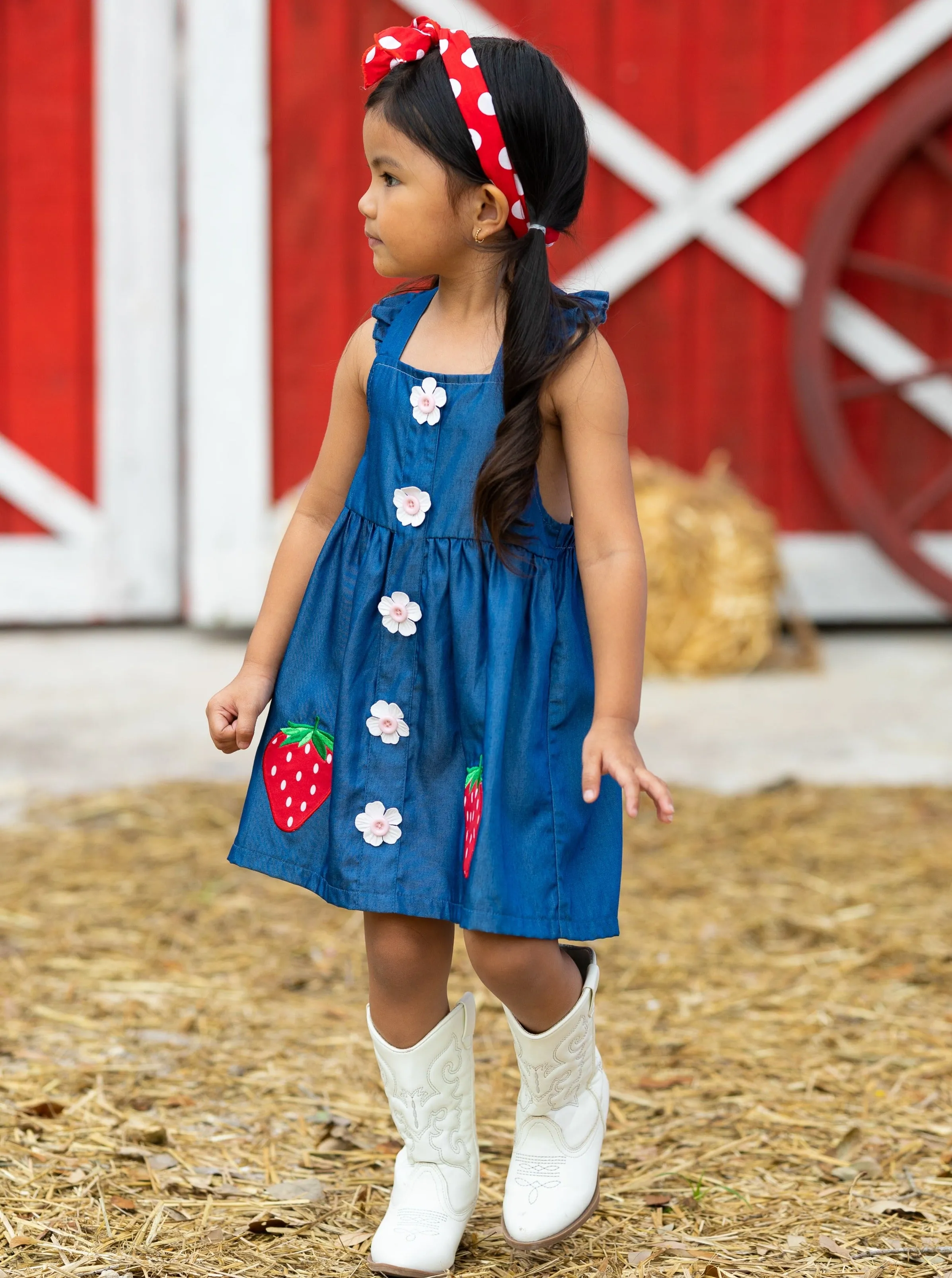 Berry Sweet Denim Dress