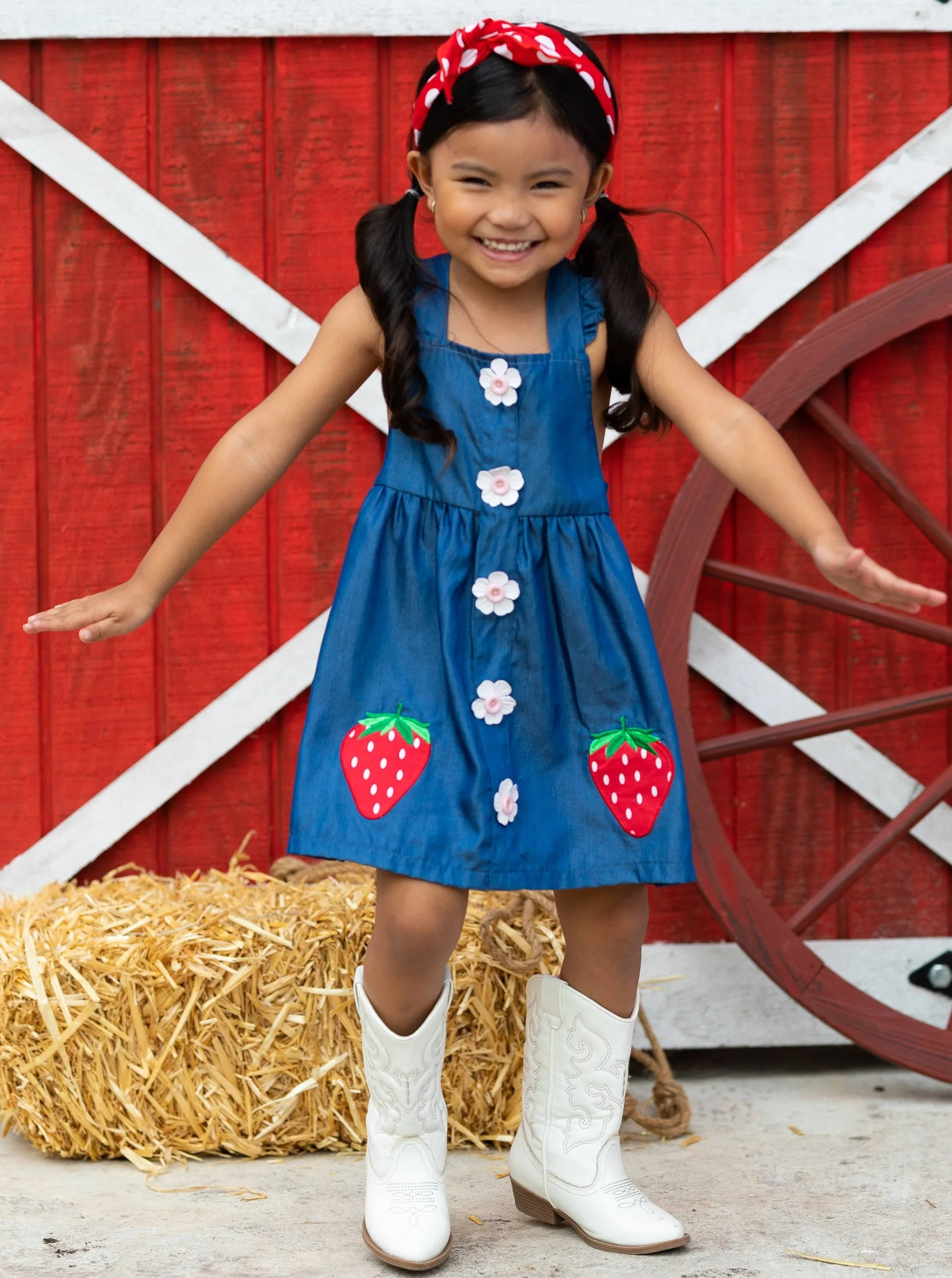 Berry Sweet Denim Dress