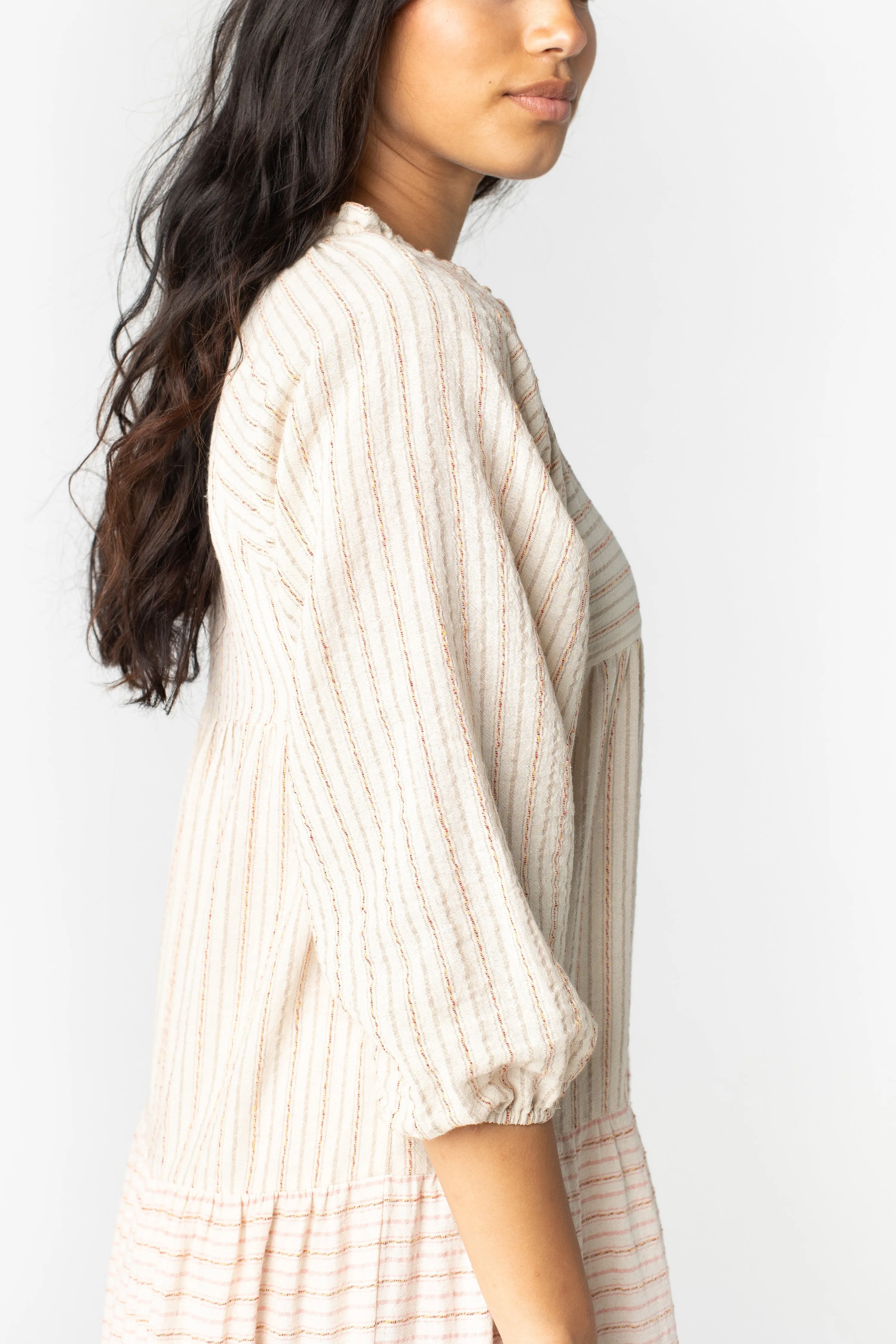 Brass & Roe Stripes & Textured Dress