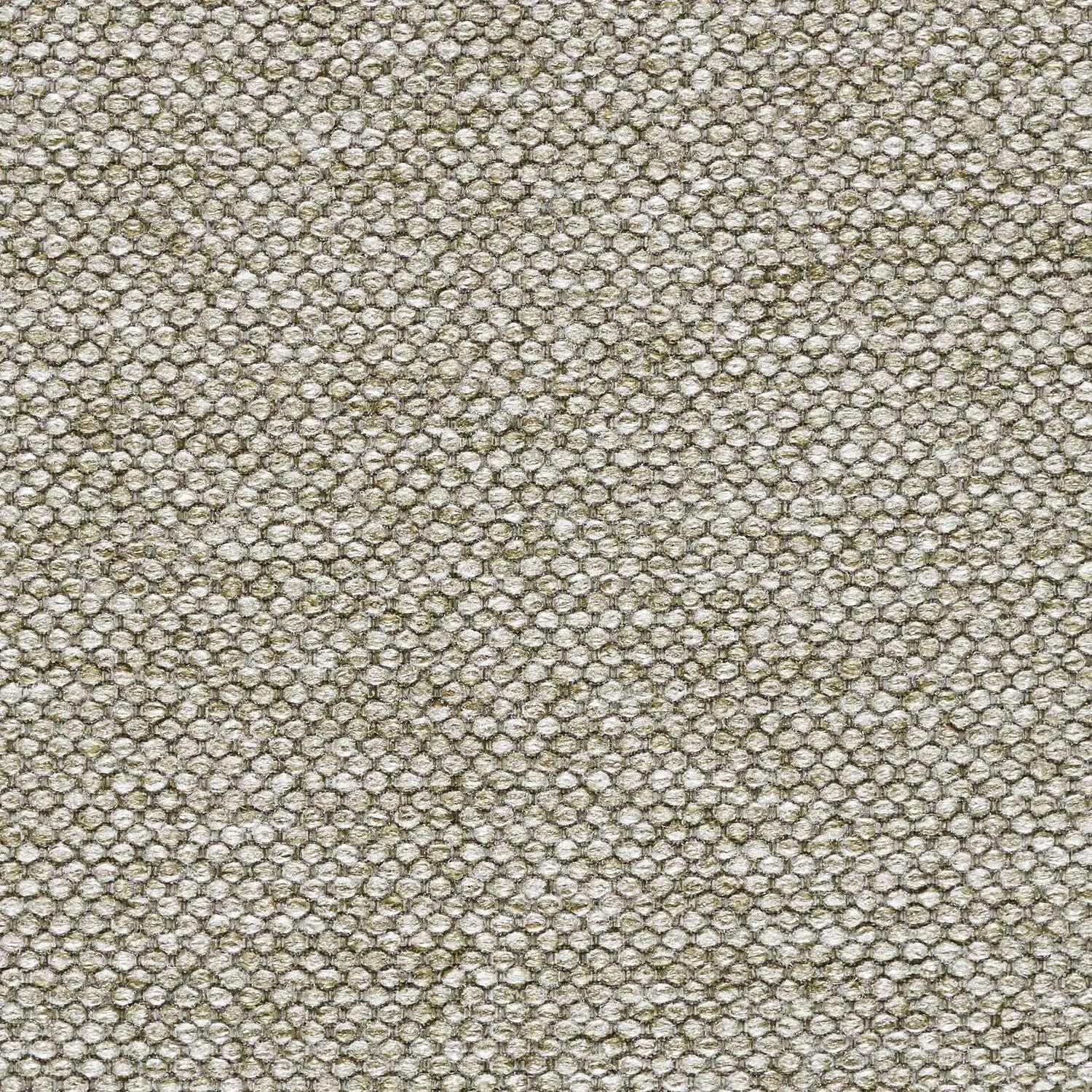 DIGI TWEED MEMO SAMPLE