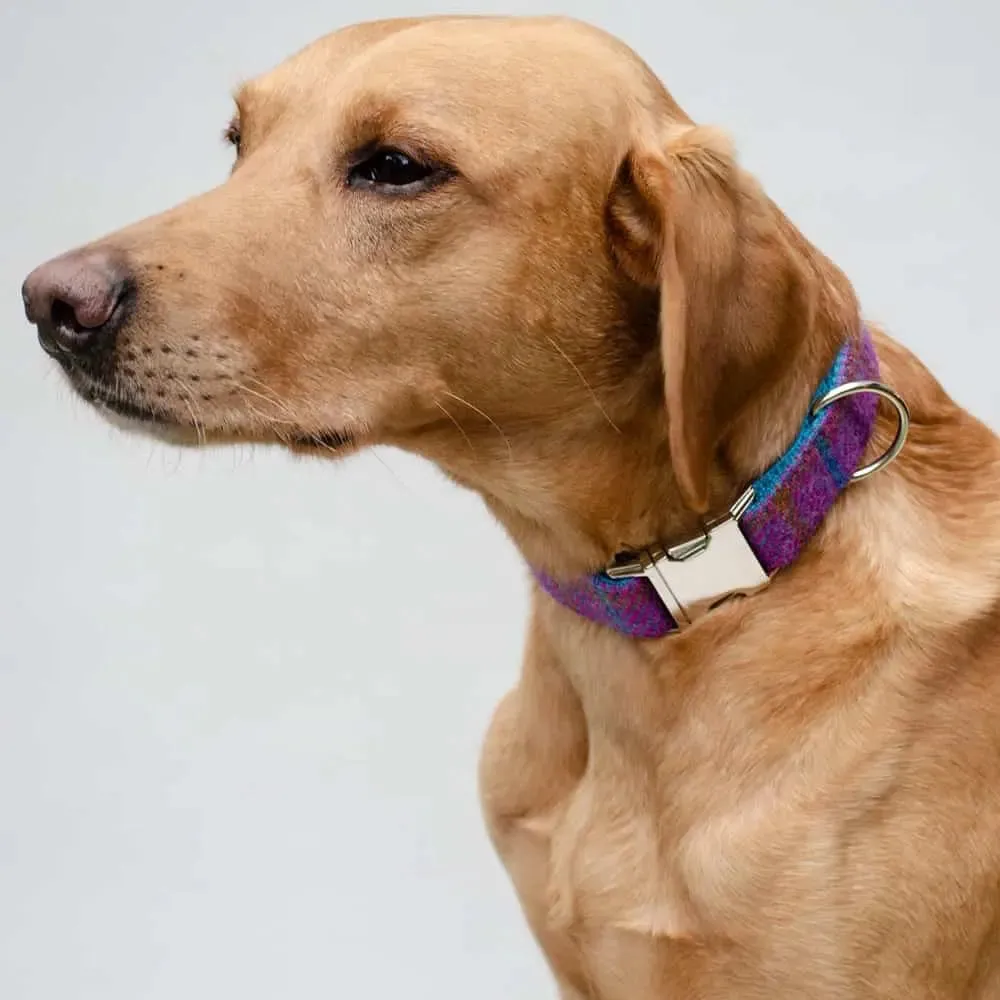 Hundehalsband Diana - Harris Tweed