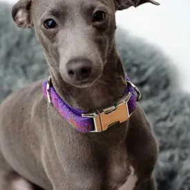 Hundehalsband Diana - Harris Tweed